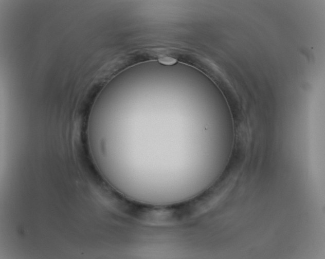 X0000114060217200910191508