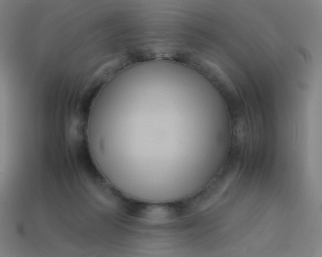 X0000114060218200910191508