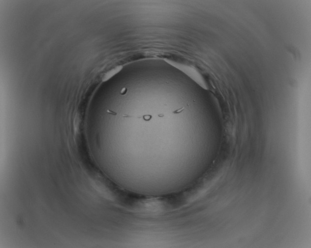 X0000114060219200910191508