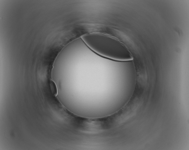 X0000114060221200910191508