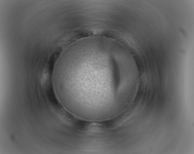 X0000114060222200910191508