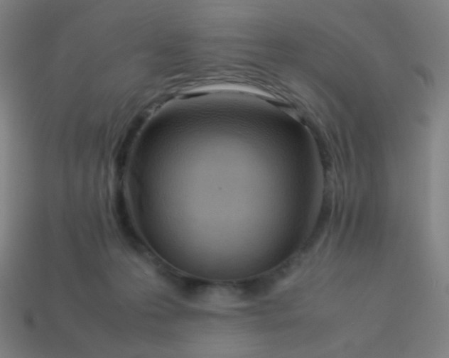 X0000114060223200910191508