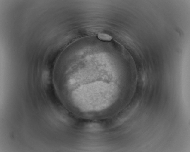 X0000114060224200910191508