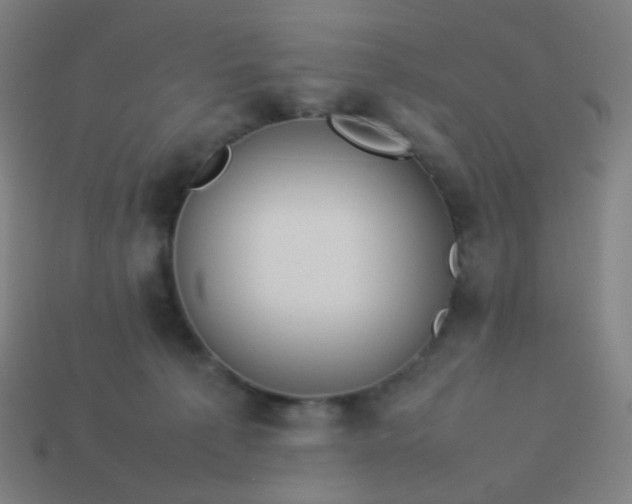 X0000114060225200910191508