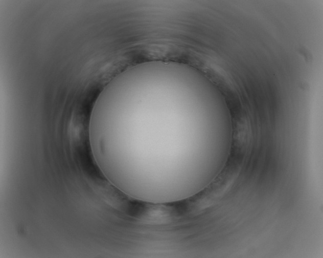 X0000114060226200910191508