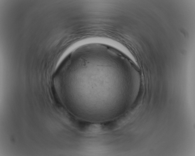 X0000114060227200910191508