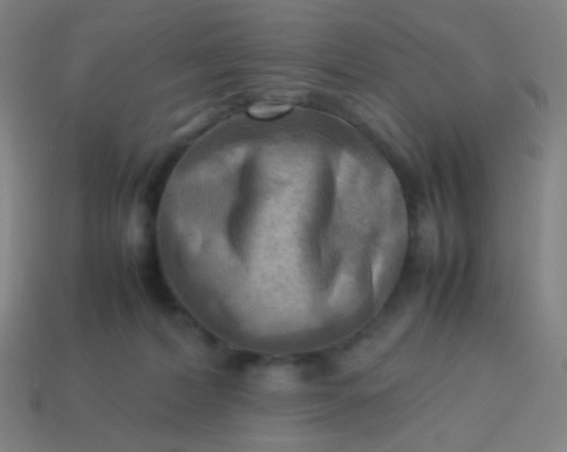 X0000114060228200910191508