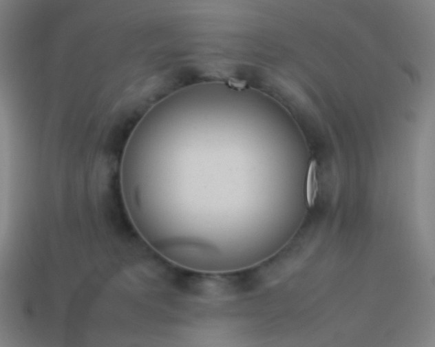 X0000114060229200910191508