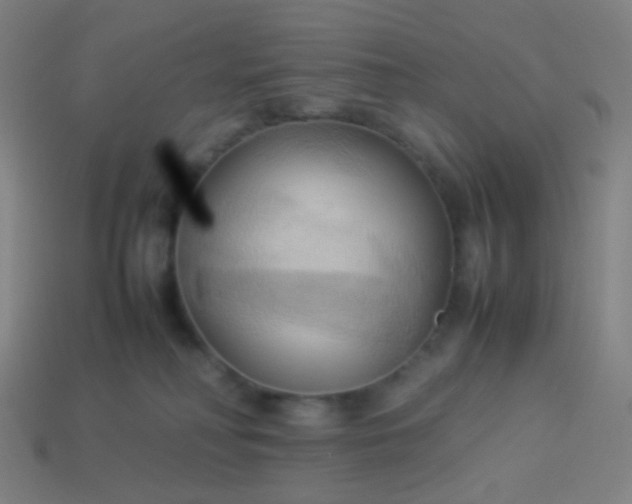 X0000114060230200910191508