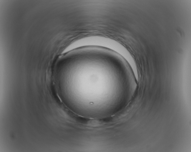 X0000114060231200910191508