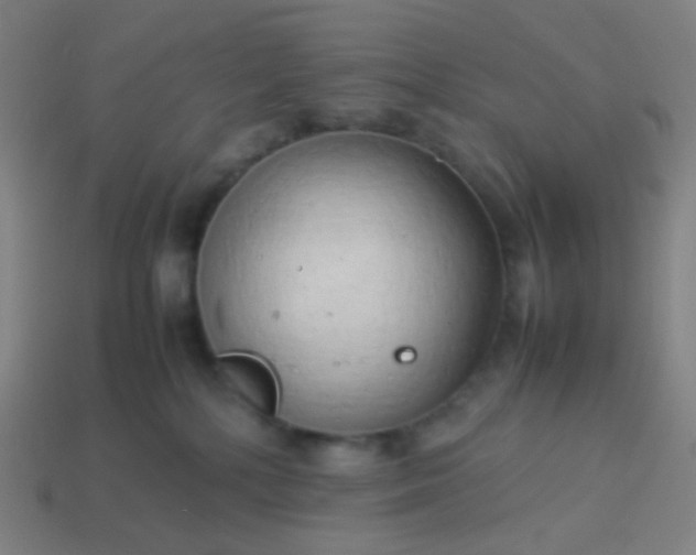 X0000114060232200910191508