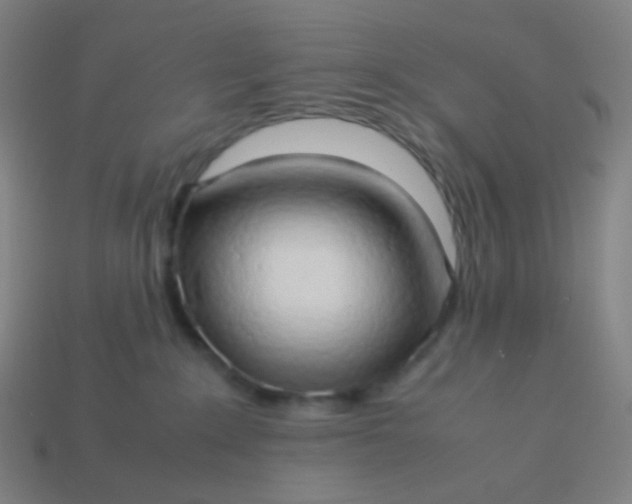 X0000114060235200910191508