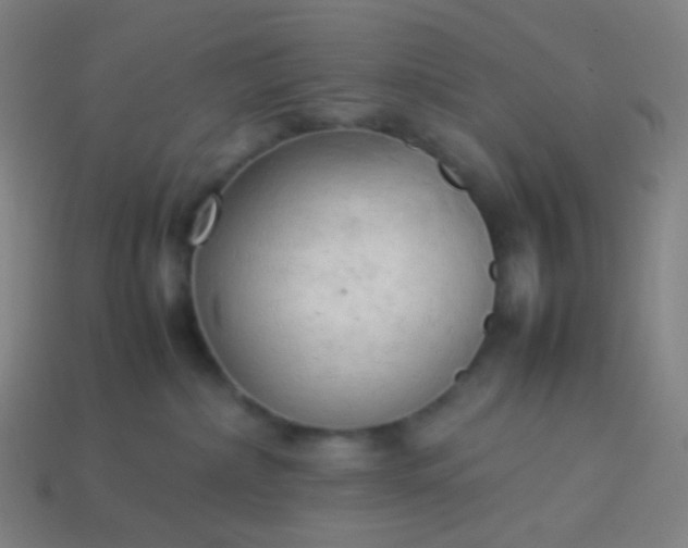 X0000114060236200910191508