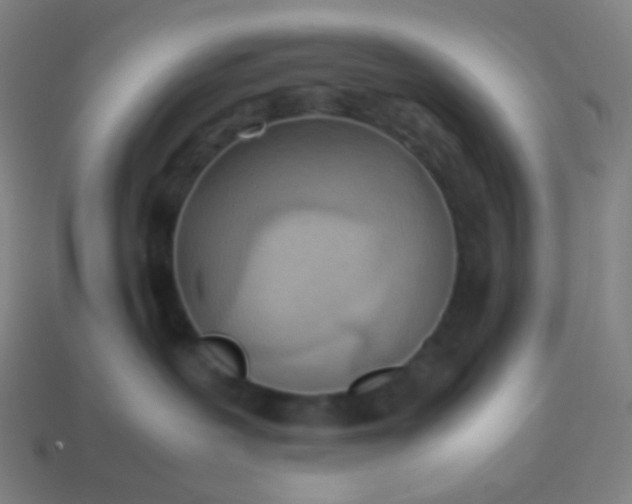 X0000114060239200910191508