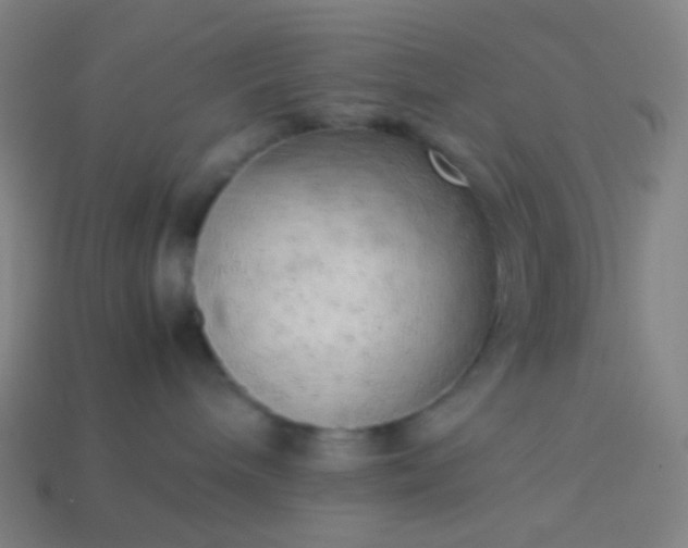 X0000114060240200910191508