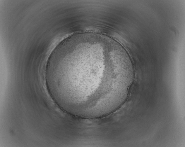 X0000114060241200910191507