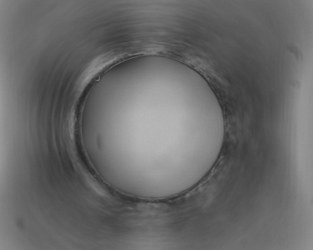 X0000114060242200910191507