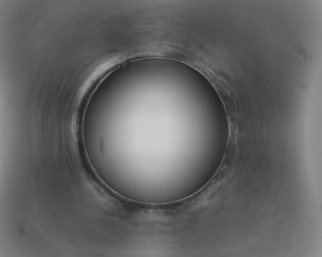 X0000114060244200910191507