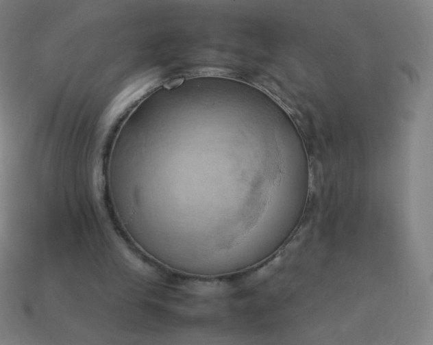 X0000114060245200910191507