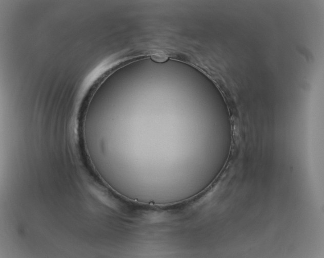 X0000114060246200910191507