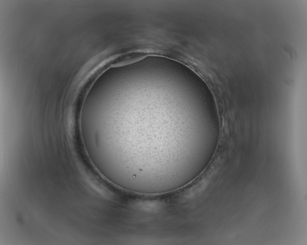 X0000114060247200910191507