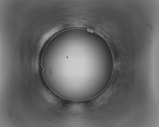 X0000114060248200910191507