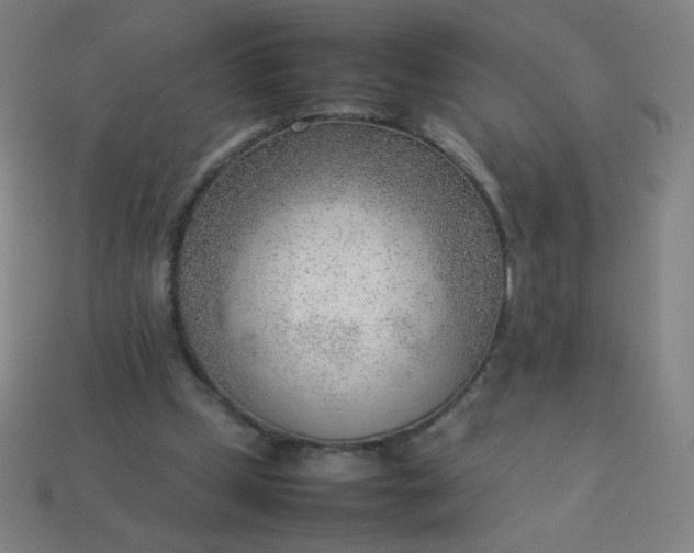 X0000114060249200910191507