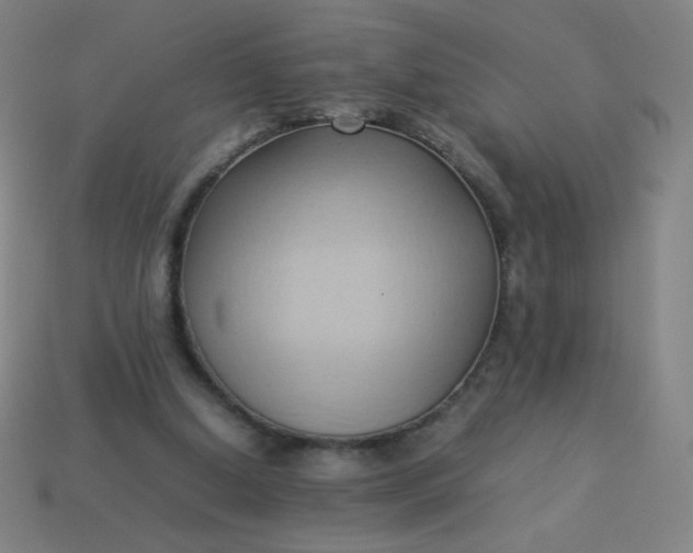 X0000114060250200910191507