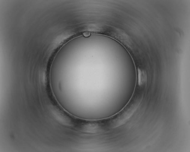 X0000114060252200910191507