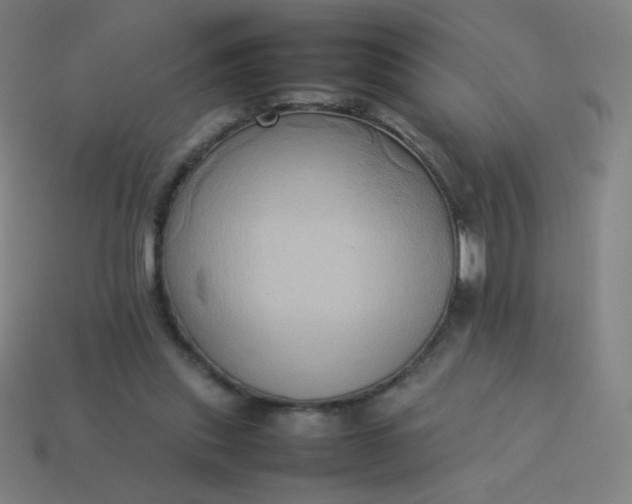 X0000114060253200910191507