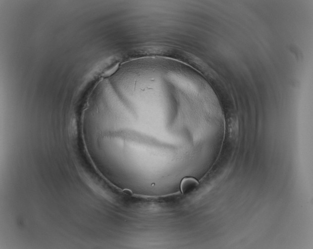 X0000114060254200910191507