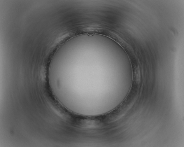 X0000114060255200910191507