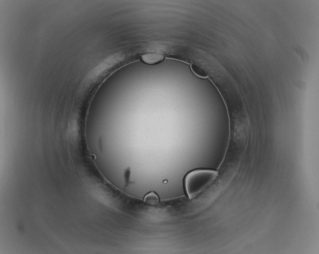 X0000114060256200910191507