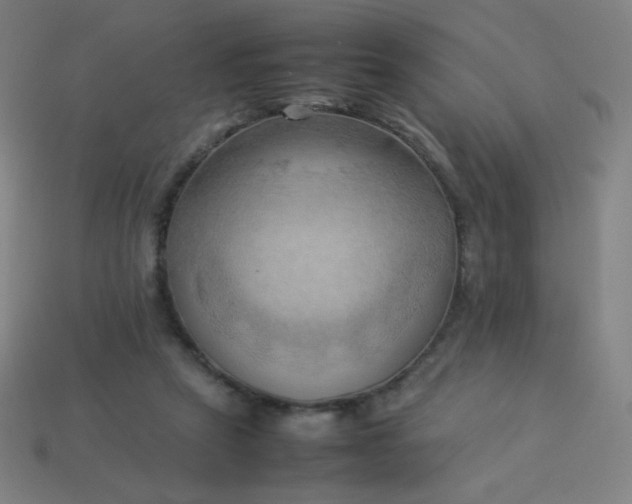 X0000114060257200910191507