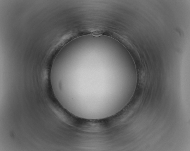 X0000114060260200910191507