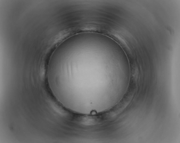 X0000114060261200910191507