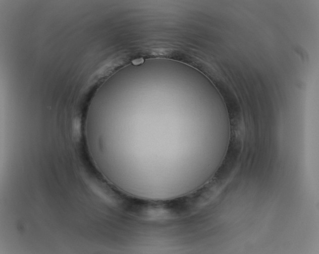 X0000114060262200910191507