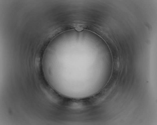 X0000114060263200910191507