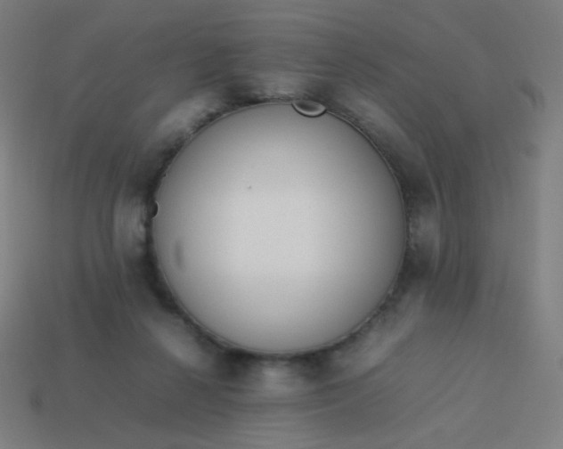 X0000114060264200910191507