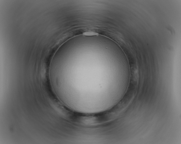 X0000114060266200910191507