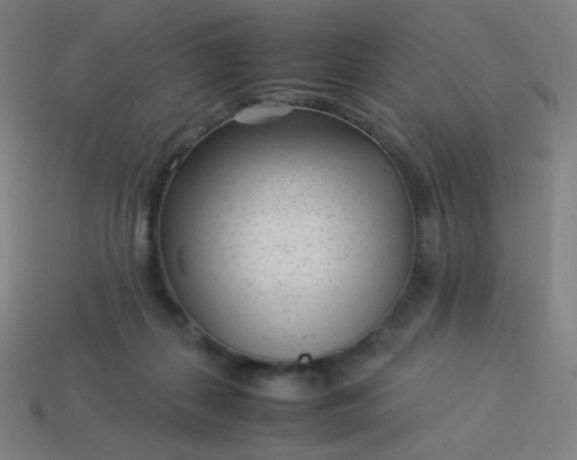 X0000114060267200910191507