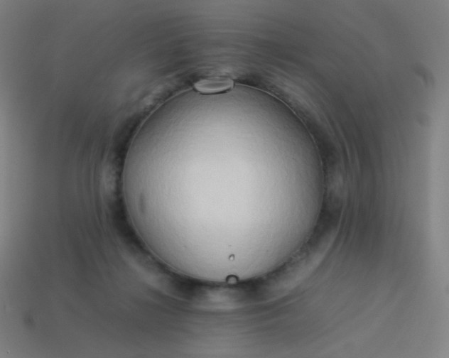 X0000114060268200910191507