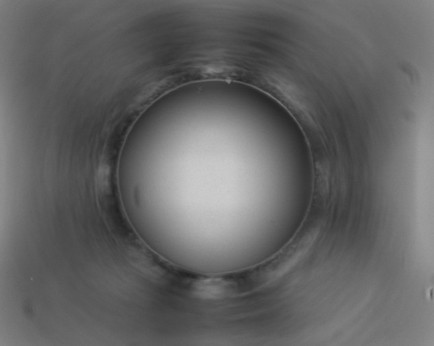 X0000114060269200910191507