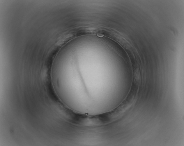 X0000114060270200910191507