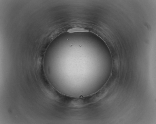 X0000114060271200910191507