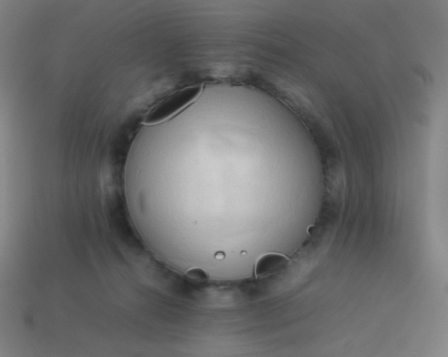 X0000114060272200910191507