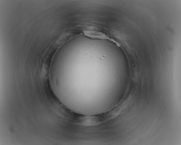 X0000114060273200910191507