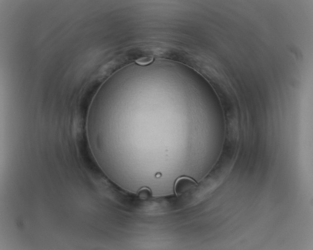 X0000114060274200910191507