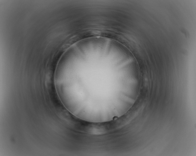 X0000114060275200910191507