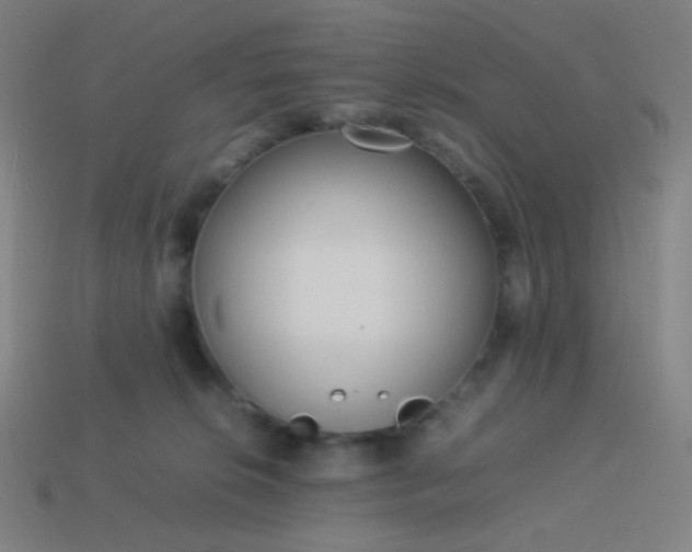 X0000114060276200910191507